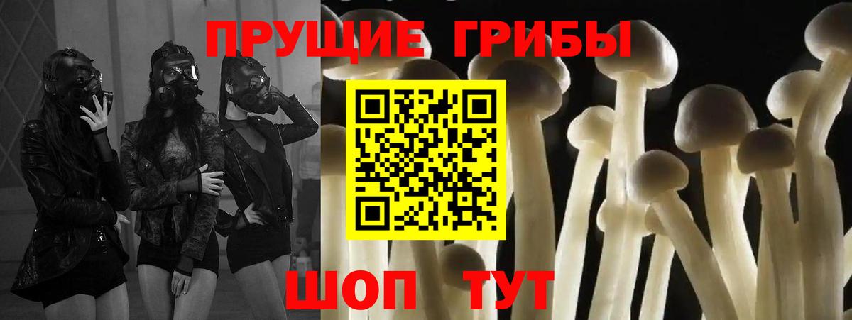 Псилоцибиновые грибы Psilocybine cubensis Реутов